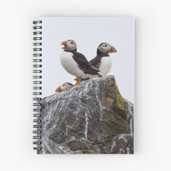 Item preview, Puffins designed and sold by FXST.