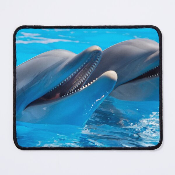 Item preview, The two whales designed and sold by Assan Den.
