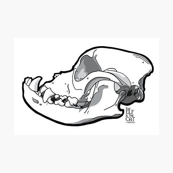 Artikel-Vorschau von Bulldogge-Schädel, designt und verkauft von Nendoras.