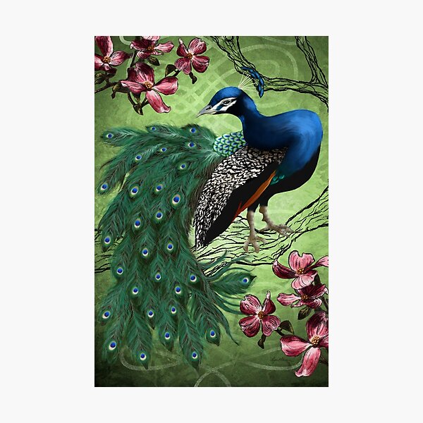 Photographic Print