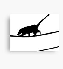 Tightrope Canvas Print