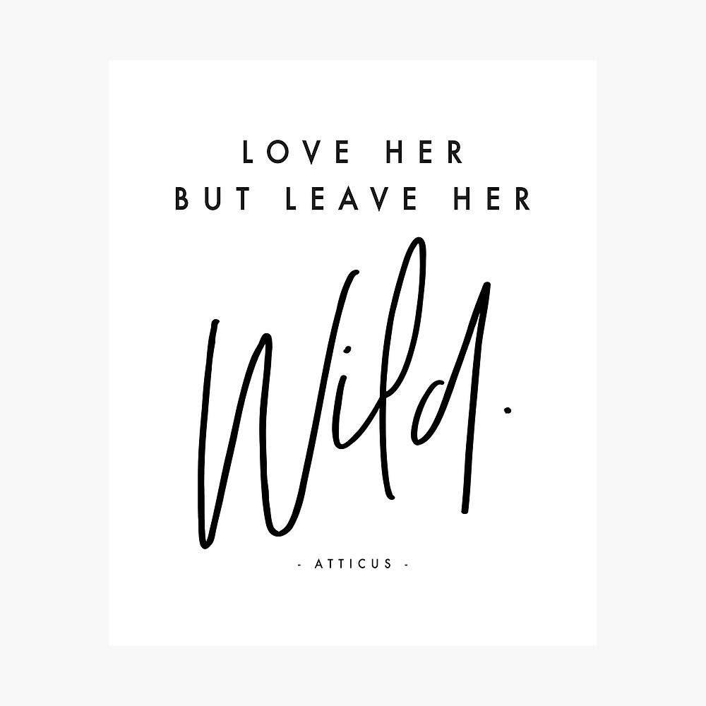 Love Her But Leave Her Wild Atticus Poster By Honeymoonhotel Redbubble Herhaling op de radio 18. love her but leave her wild atticus poster by honeymoonhotel redbubble