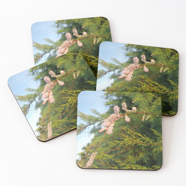 Item preview, Beautiful Shrub On A Beach In Barbados Design designed and sold by Rhia-Black.