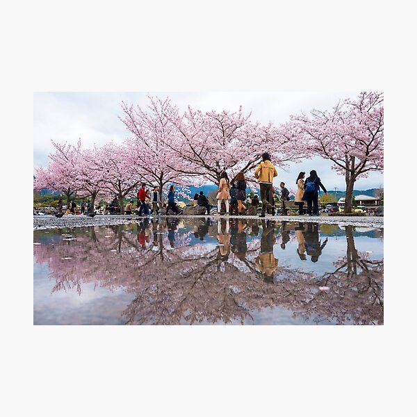 Item preview, Reflecting On Kyoto designed and sold by Adrian Alford Photography.