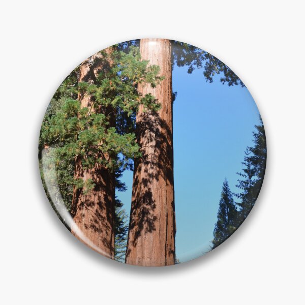 Item preview, Giant sequoia trees in Sequoia National Park designed and sold by naturematters.