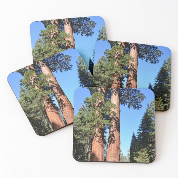 Item preview, Giant sequoia trees in Sequoia National Park designed and sold by naturematters.