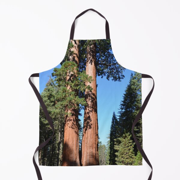 Item preview, Giant sequoia trees in Sequoia National Park designed and sold by naturematters.