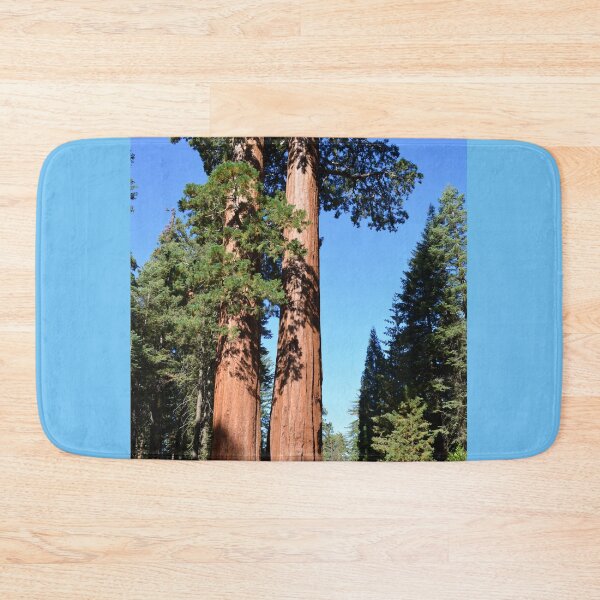 Item preview, Giant sequoia trees in Sequoia National Park designed and sold by naturematters.