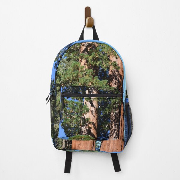 Item preview, Giant sequoia trees in Sequoia National Park designed and sold by naturematters.