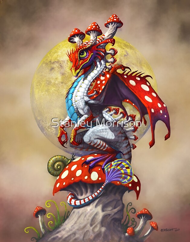 "MUSHROOM DRAGON" by Stanley Morrison Redbubble