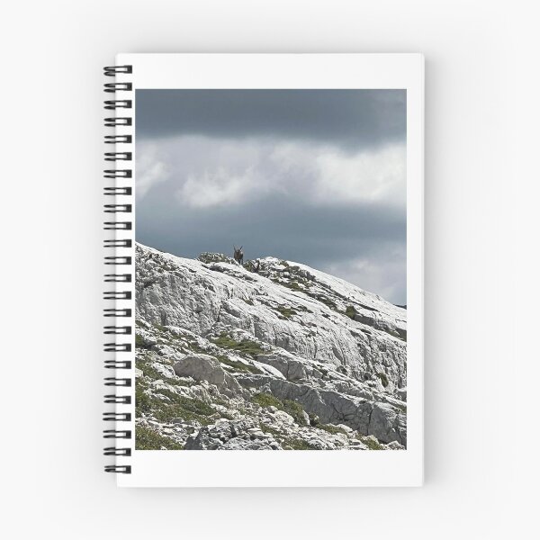 Aperçu de l'œuvre capicorne dans la montagne brumeuse créée et vendue par barbich.