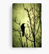 The Call Canvas Print