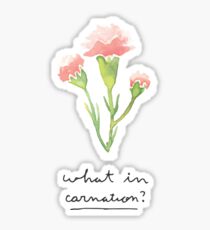 What in Carnation? Sticker