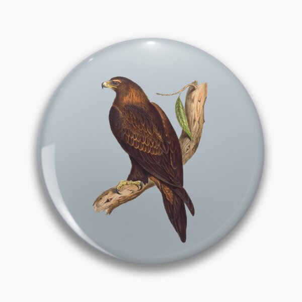Item preview, The Eagles designed and sold by giddyaunt.