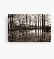 Marne Canal Canvas Print
