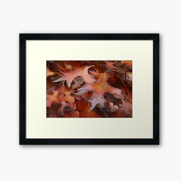 Item preview, Autumn Leaves, Ballarat designed and sold by Leigh Penfold.