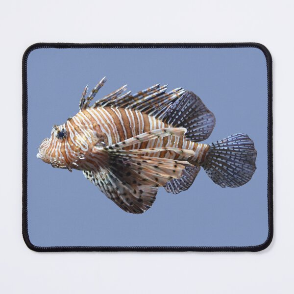 Item preview, Special Lionfish designed and sold by RainbowSpinkle.
