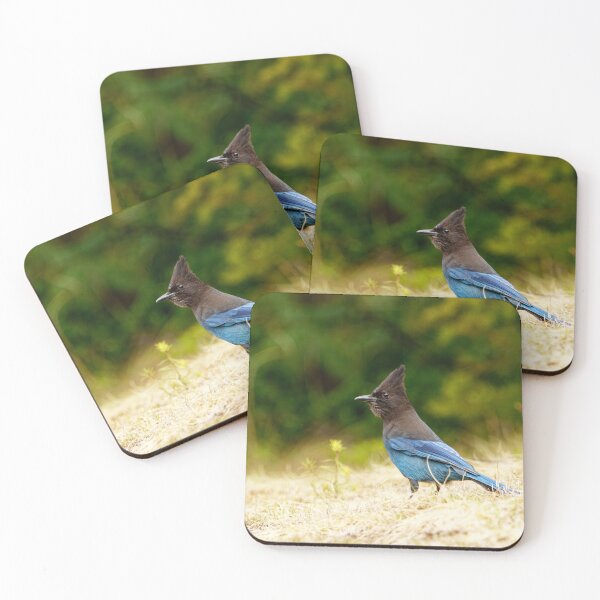 Item preview, Mountain Jay Being Goth designed and sold by Natural-Habitat.