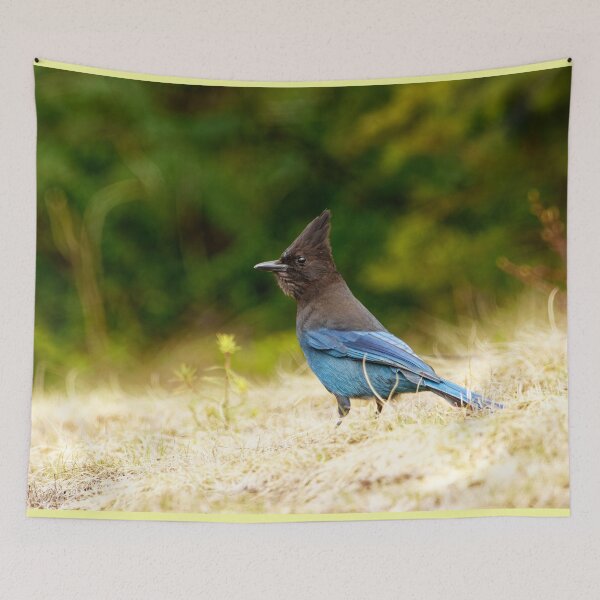 Item preview, Mountain Jay Being Goth designed and sold by Natural-Habitat.