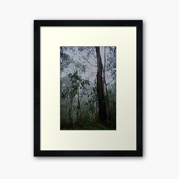 Bushland Beauty Framed Art Print