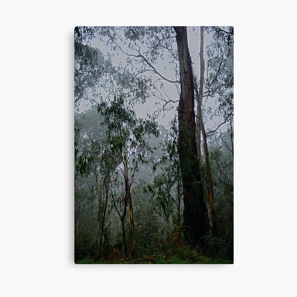 Item preview, Bushland Beauty designed and sold by imaginethis.
