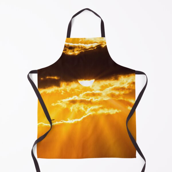 Item preview, AVIATION #21 - Airliner Flying Through Golden Sun Rays designed and sold by DEL-Productions.