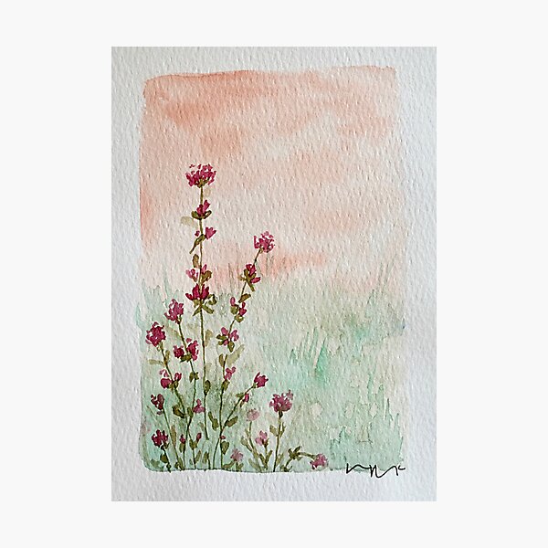 Stolen Florals Photographic Print