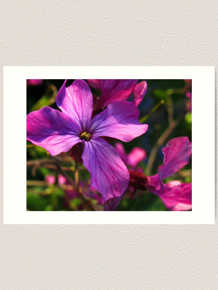 Alternate view of Flower Art Print