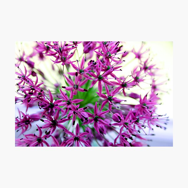 Item preview, Efflorescent Explosion designed and sold by Ruski.