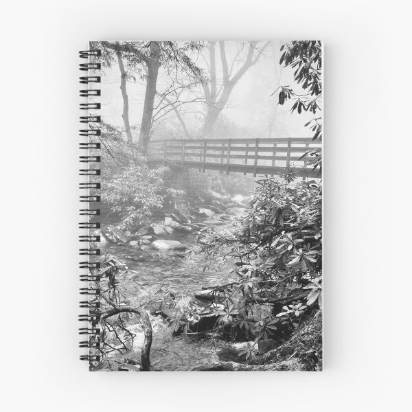 Aperçu de l'œuvre Pont Forestier Noir/Blanc créée et vendue par CharCamp.