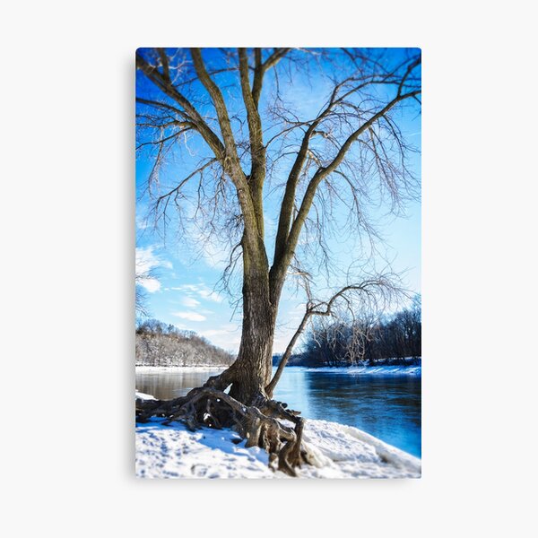 Blue on Blue Canvas Print