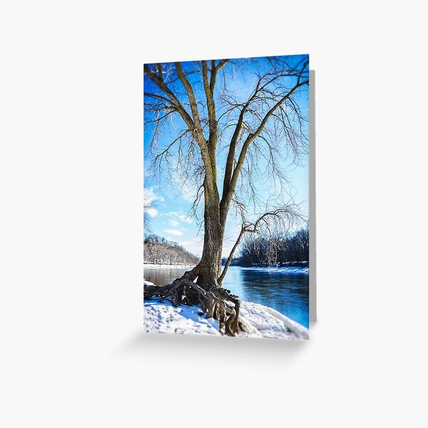 Blue on Blue Greeting Card