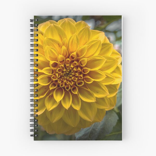 Item preview, Yellow Dahlia in full bloom designed and sold by Steven Jodoin.