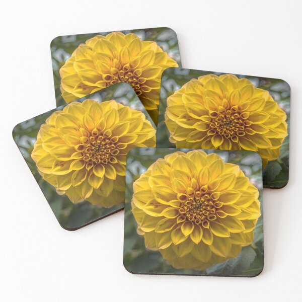 Item preview, Yellow Dahlia in full bloom designed and sold by Steven Jodoin.