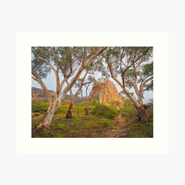 Item preview, Mount Arapiles, Victoria, Australia designed and sold by Michael Boniwell.