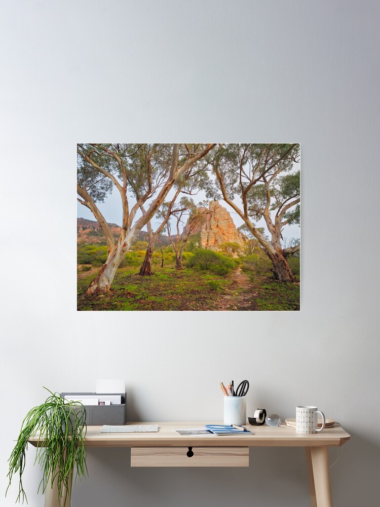 Thumbnail 1 of 3, Poster, Mount Arapiles, Victoria, Australia designed and sold by Chockstone.