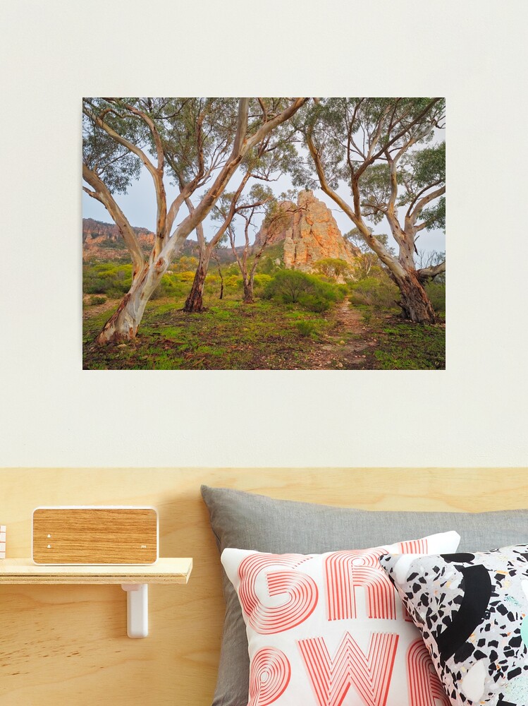 Thumbnail 1 of 3, Photographic Print, Mount Arapiles, Victoria, Australia designed and sold by Chockstone.