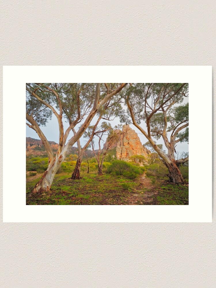 Thumbnail 2 of 3, Art Print, Mount Arapiles, Victoria, Australia designed and sold by Chockstone.