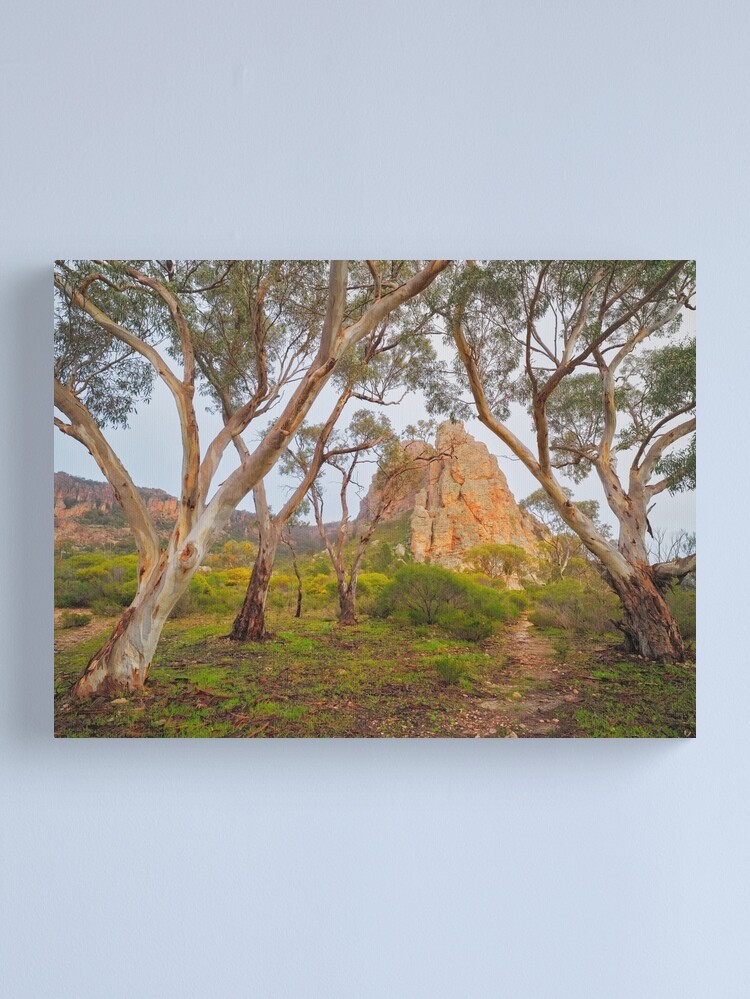 Thumbnail 2 of 3, Canvas Print, Mount Arapiles, Victoria, Australia designed and sold by Chockstone.