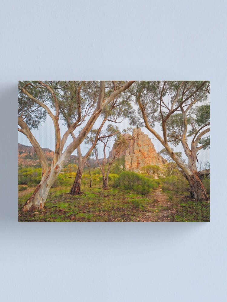 Thumbnail 2 of 3, Canvas Print, Mount Arapiles, Victoria, Australia designed and sold by Chockstone.