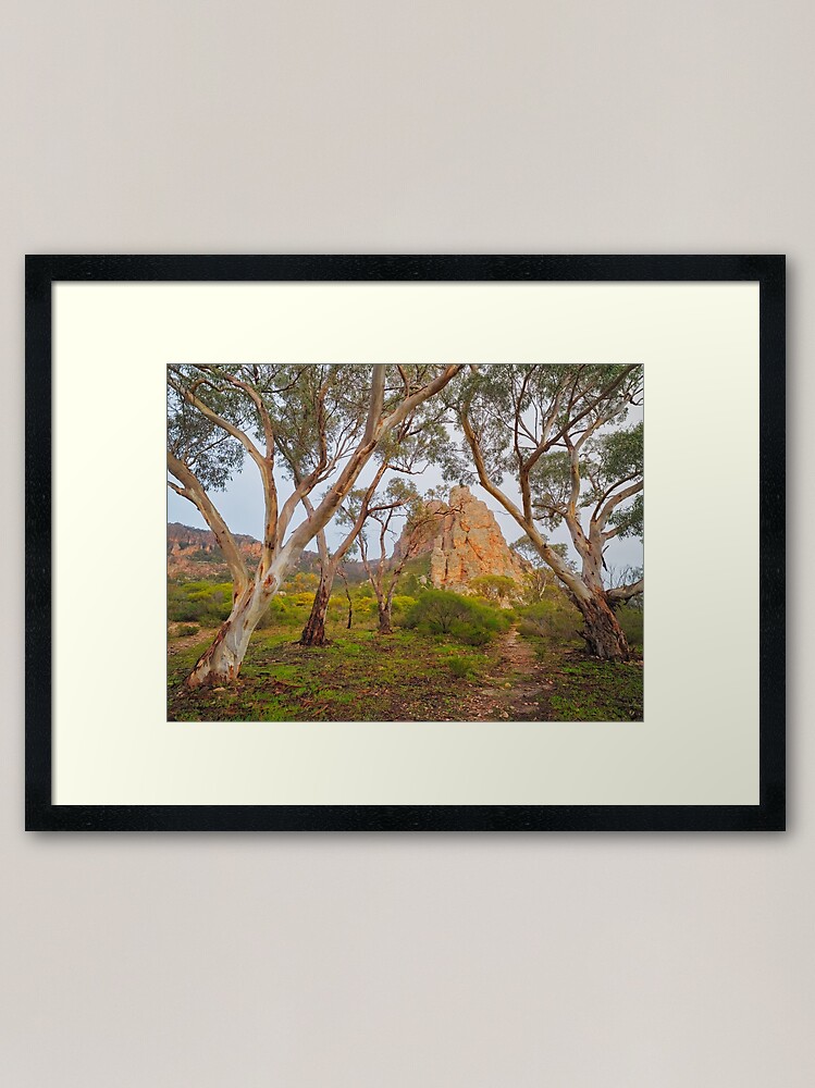 Thumbnail 2 of 7, Framed Art Print, Mount Arapiles, Victoria, Australia designed and sold by Chockstone.
