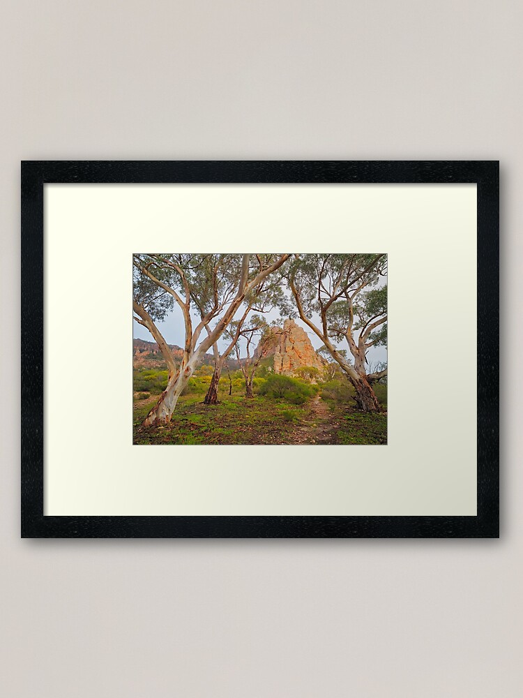 Thumbnail 1 of 7, Framed Art Print, Mount Arapiles, Victoria, Australia designed and sold by Chockstone.