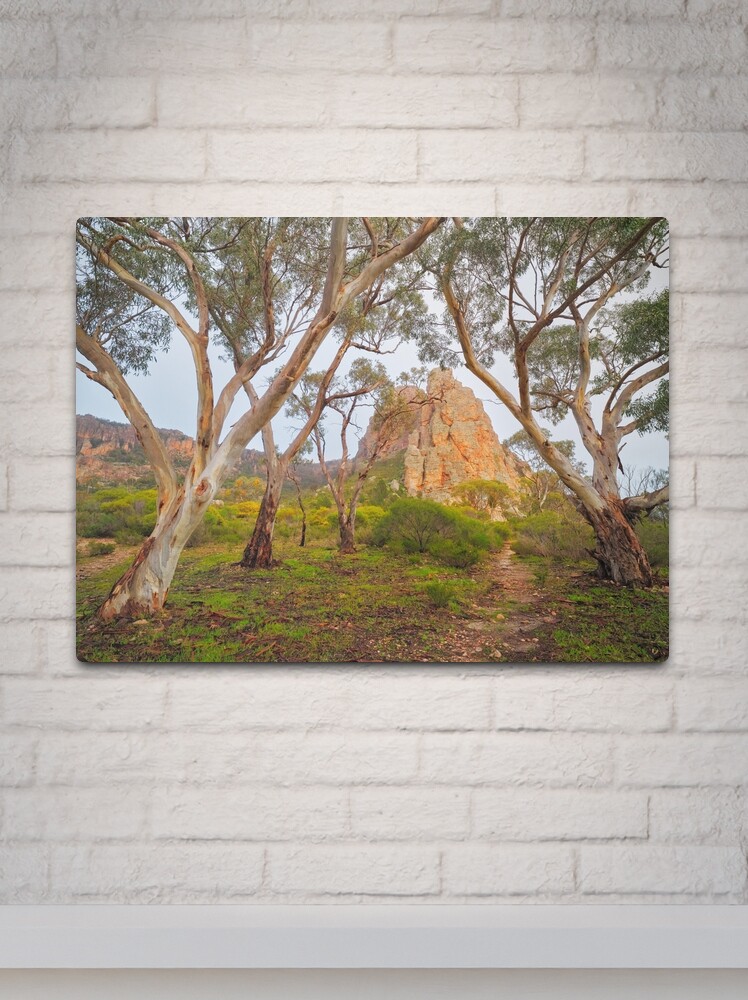 Thumbnail 2 of 4, Metal Print, Mount Arapiles, Victoria, Australia designed and sold by Chockstone.