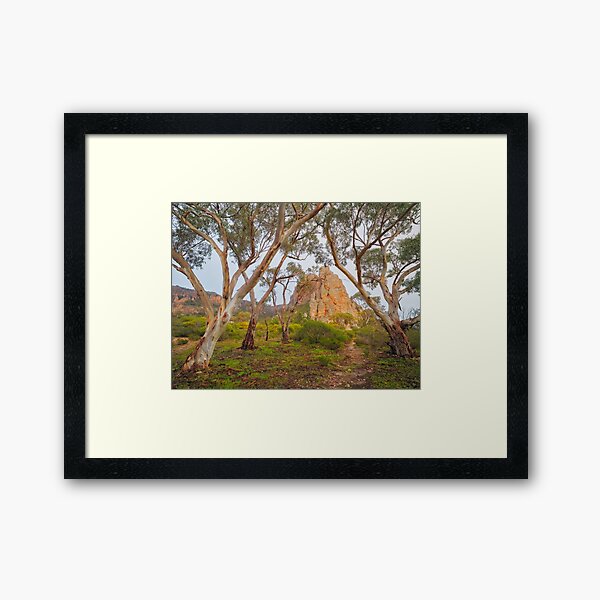 Framed Art Print