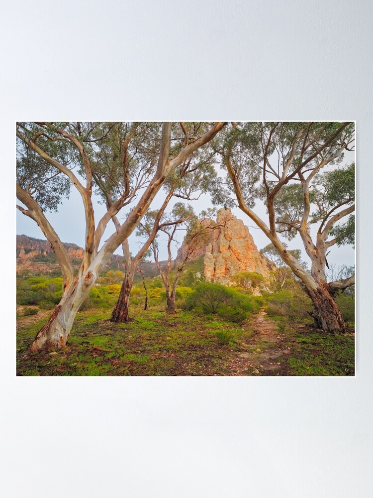 Thumbnail 2 of 3, Poster, Mount Arapiles, Victoria, Australia designed and sold by Chockstone.