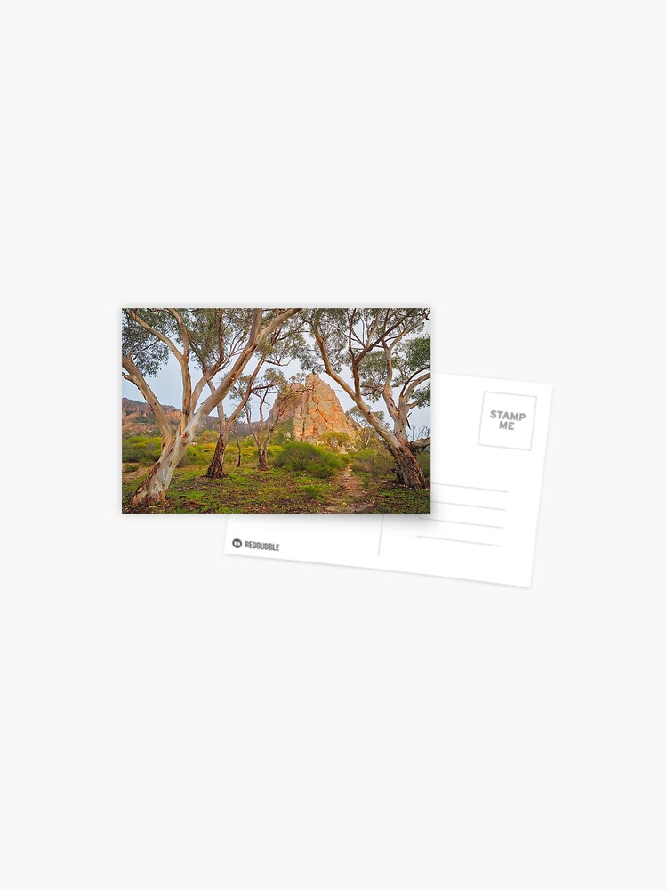 Thumbnail 1 of 2, Postcard, Mount Arapiles, Victoria, Australia designed and sold by Chockstone.