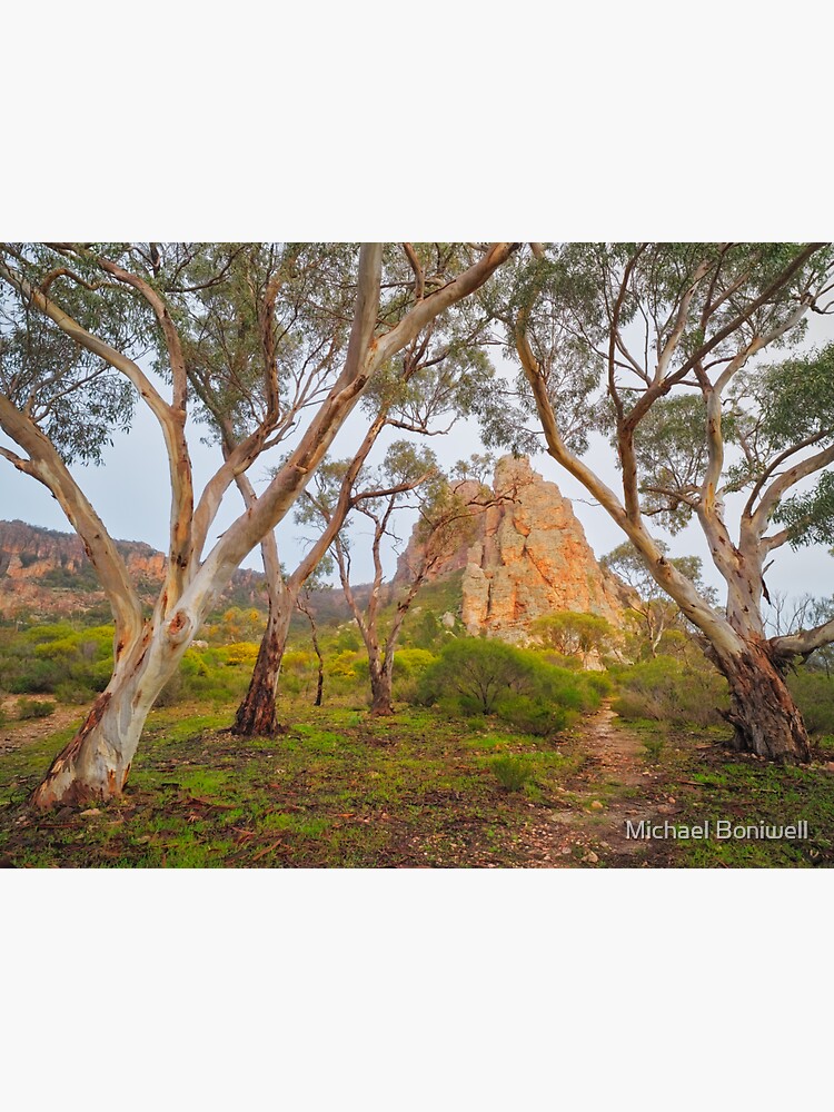 Thumbnail 3 of 3, Sticker, Mount Arapiles, Victoria, Australia designed and sold by Chockstone.