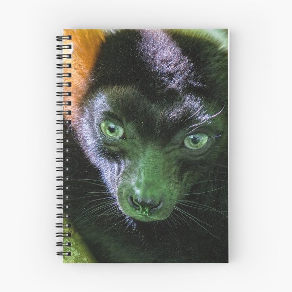 Item preview, Vari - Lemur designed and sold by Dagostino.