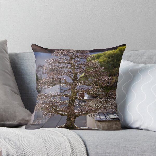 Item preview, Bonsai en el Arboreto Nacional en Canberra / ACT / Australia (1) designed and sold by Wolf Sverak Photography.