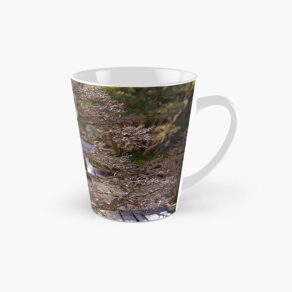 Item preview, Bonsai at the National Arboretum in Canberra/ACT/Australia (1) designed and sold by Wolf Sverak Photography.